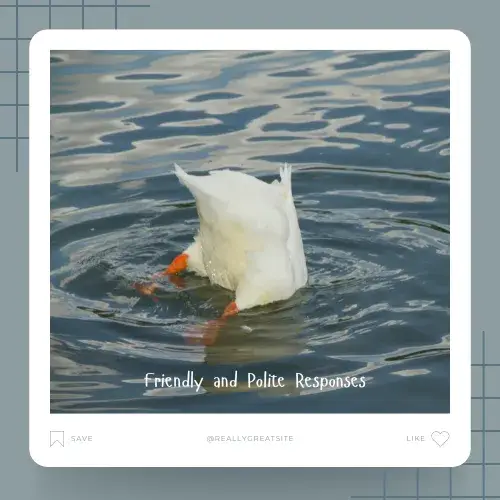 Friendly and Polite Responses