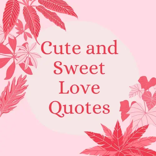 Cute and Sweet Love Quotes