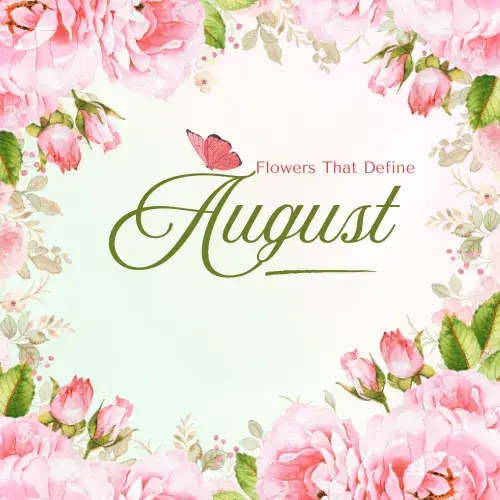 Flowers That Define August