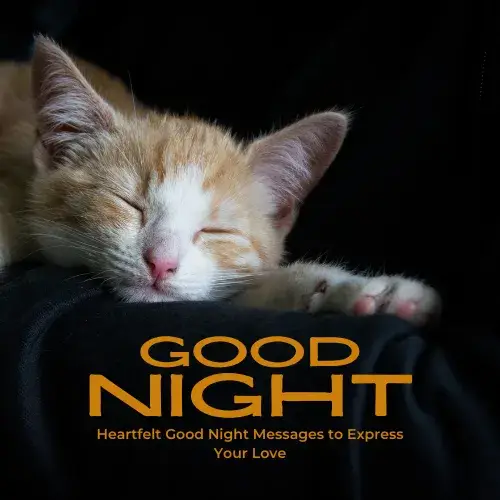 Heartfelt Good Night Messages to Express Your Love