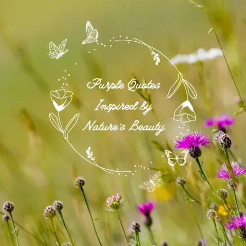 Purple Quotes Inspired by Nature’s Beauty