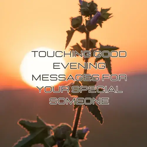 Touching Good Evening Messages for Your Special Someone