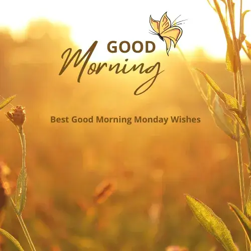 Best Good Morning Monday Wishes