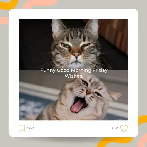 Funny Good Morning Friday Wishes.