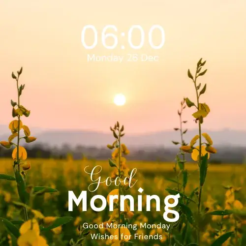 Good Morning Monday Wishes for Friends