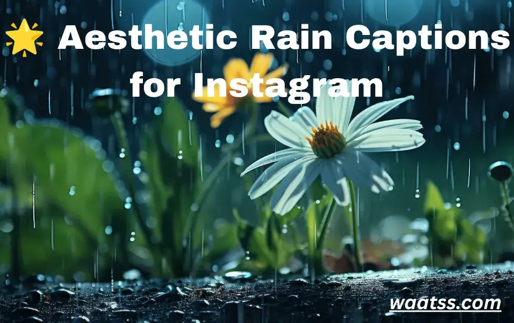 aesthetic-rain-captions-for-instagram