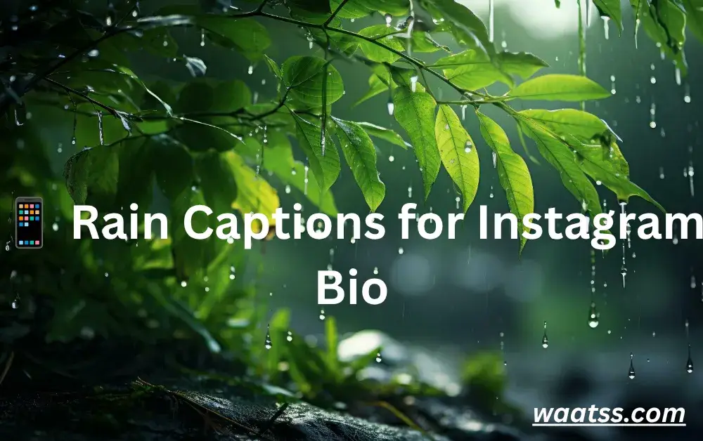rain-captions-for-instagram-bio